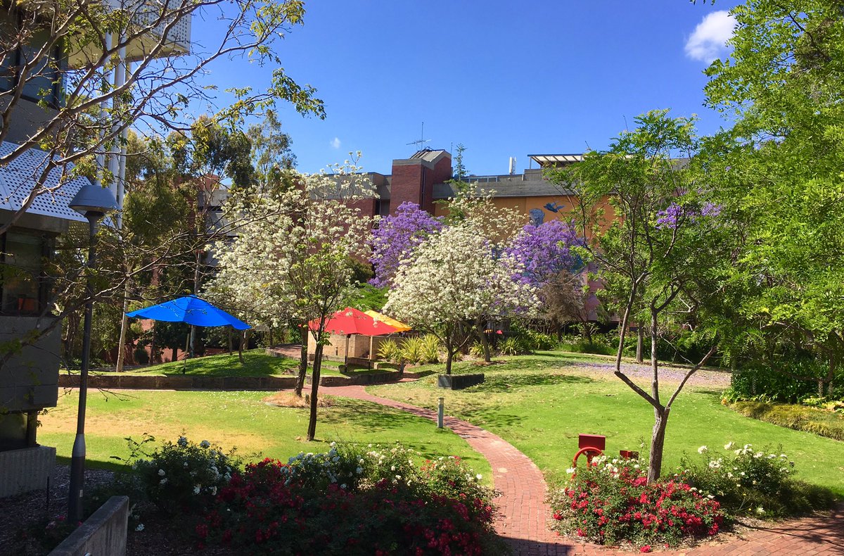 coignardP's tweet photo. J2 convention mondiale de @eduniversal_HE à Perth sur retour d'expérience de la transformation de l'ES @CurtinUni #EWC16 https://t.co/SglEAP7cyP
