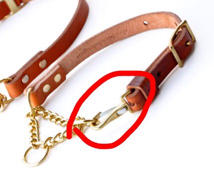 scholarlystrays's tweet photo. @boldleaddesigns anyway you can send us a replacement clip for Solar's tan/brass martingale? It's gotten weak. https://t.co/r2py3ylpIe