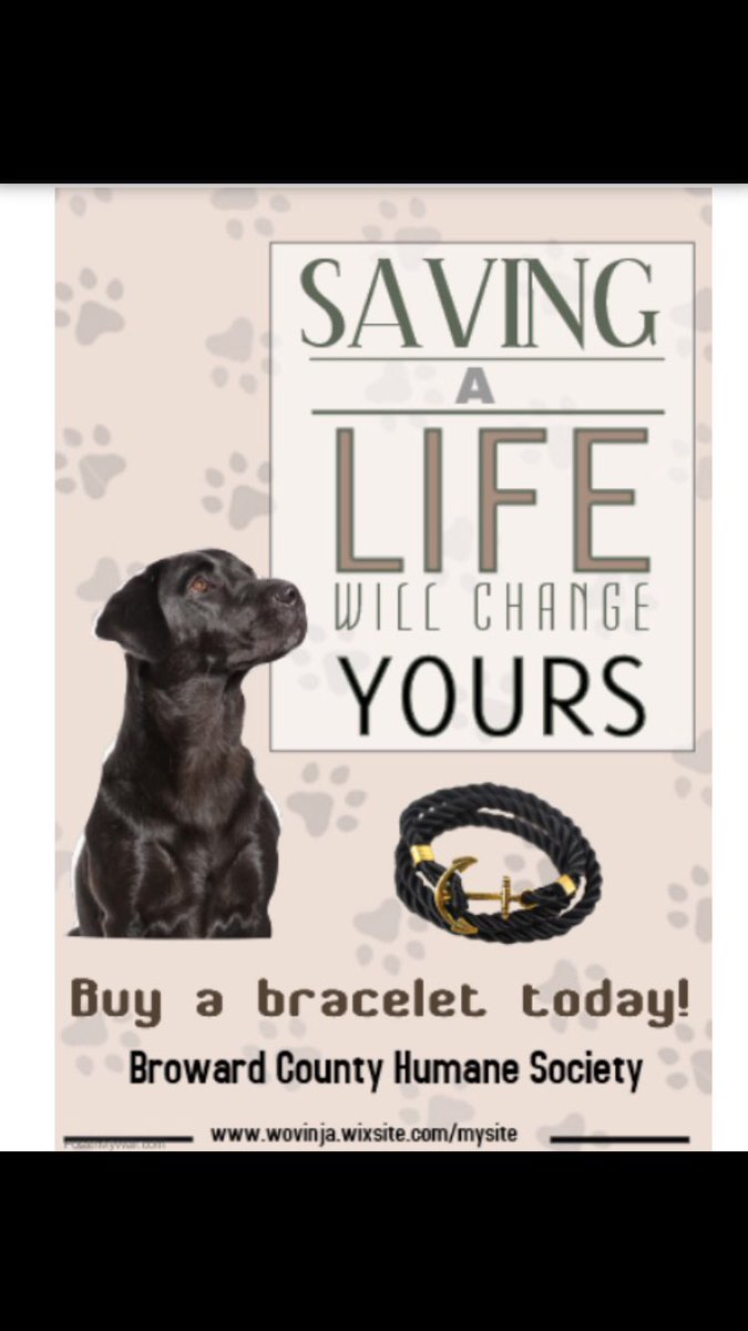Wov__In's tweet photo. Black Wov-In bracelets are back in stock buy yours now in room 511 and help an animal in need! https://t.co/CjfTcOAkEq