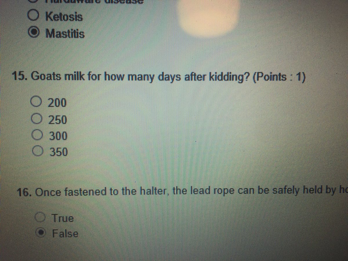 TrueRanch_Girl's tweet photo. Who has goats and can answer this? Lol https://t.co/7j8tDzrhTg