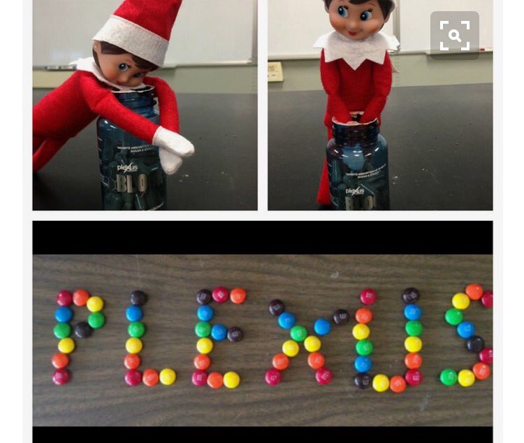 AndreaPearsonHC's tweet image. Look who is back in town and LOVES sugar and carbs!!!  Even Elfie knows a good thing when he sees it. #plexusblock