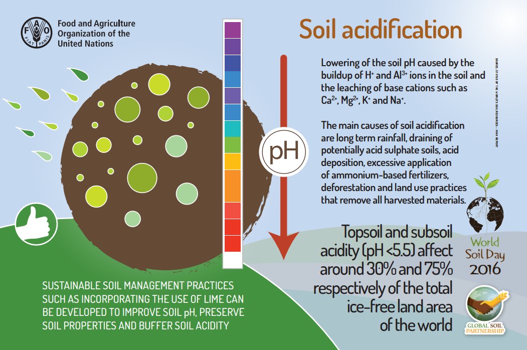 FAOKnowledge's tweet photo. Sust #soil mngnt practices can be developed to improve soil pH, preserve soil properties &amp; buffer soil acidity https://t.co/8NZ1mhtuMI https://t.co/YkoCNunslq