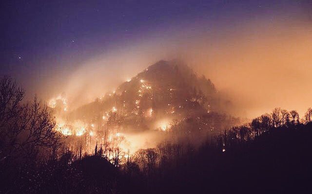 BlessedTeen's tweet photo. Please Pray for Gatlinburg! #pray #Gatlinburg 🙏🏻🙌🏻 https://t.co/DJn9WsS58L