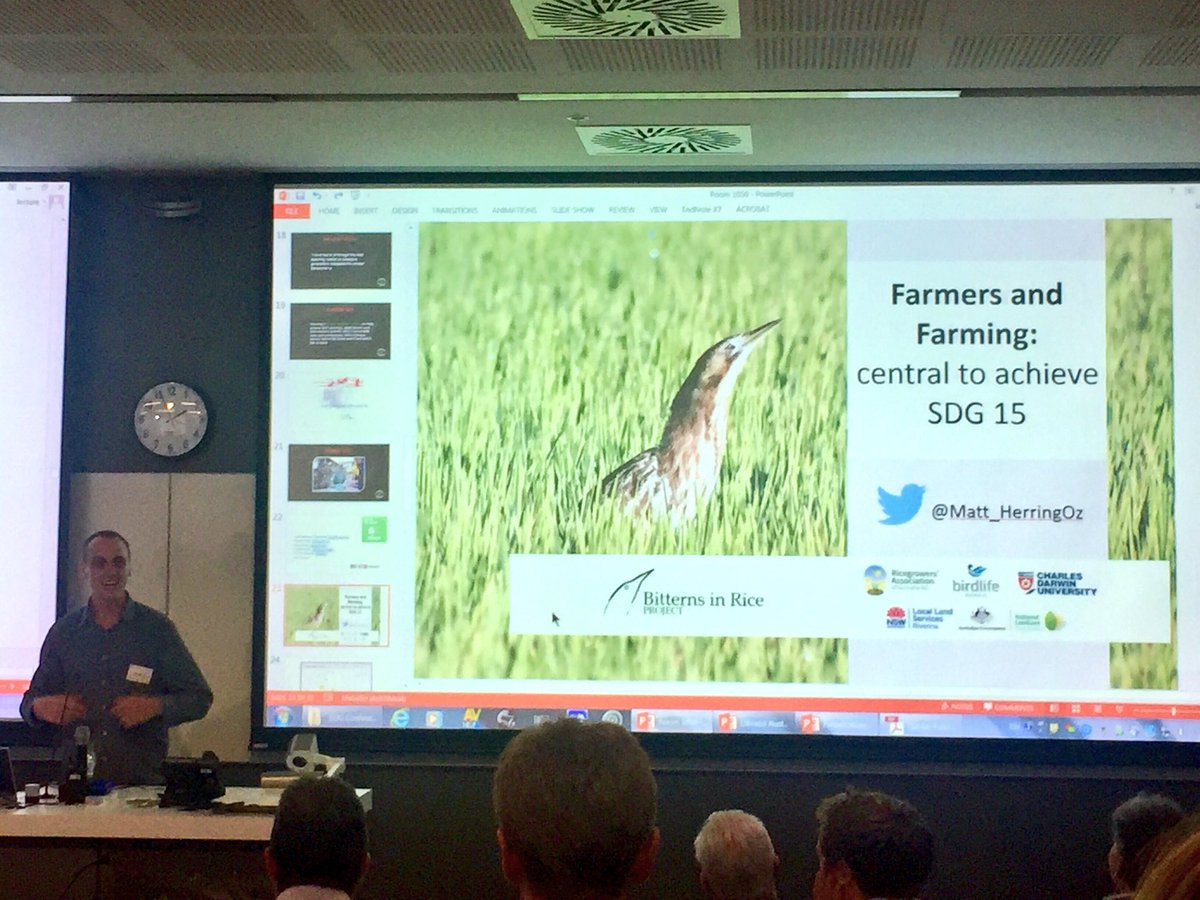 GilbertJoshuaM's tweet photo. .@Matt_HerringOz at #SDGA16 presents on the Bitterns in Rice Project! #agchatoz @ricegrowers #Conservation and #Farming- love it! https://t.co/TyyRaVc8hS
