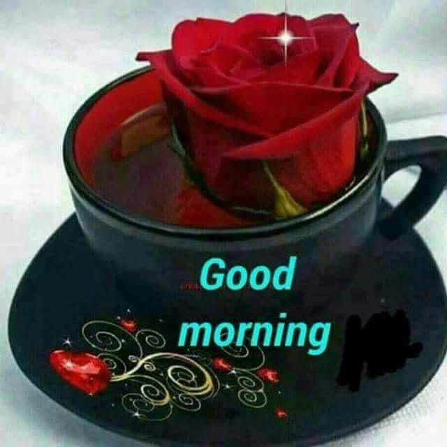 sumitaghosh34's tweet photo. Good morning. Have a nice and prosperous day. https://t.co/Z9yShykHxG
