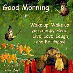 Lydia777777's tweet photo. @louique602 @Julenda1231 @Pollajvr @earearblog @lindacabose @cousinNorman @sporty1chris @neelsdupreez https://t.co/2FW8AUU1rd