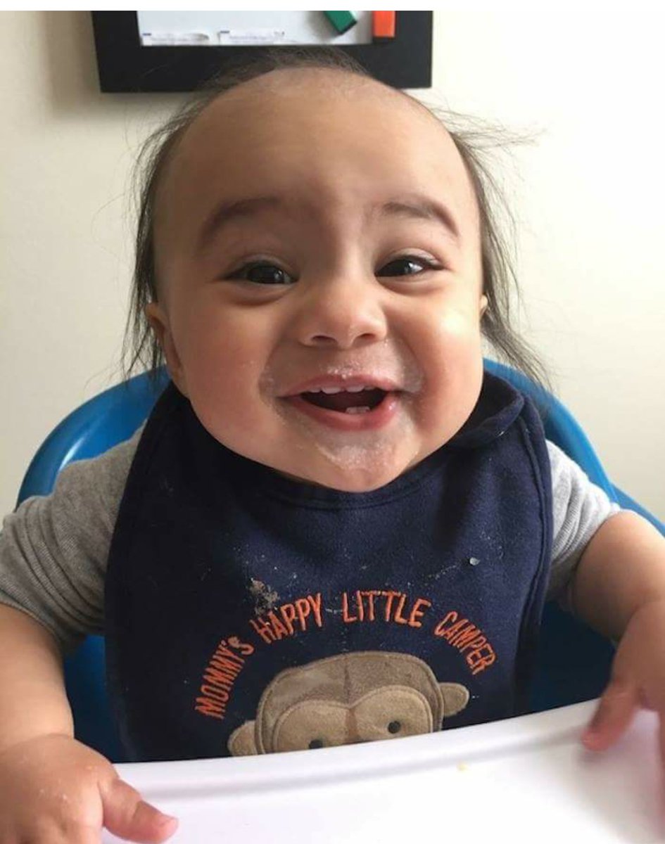 ShantelleMarieF's tweet photo. @alwayssunny is this little Frank going to make a guest appearance? #minifrank @DannyDeVito look at you❤ https://t.co/KSXzKfQbtm