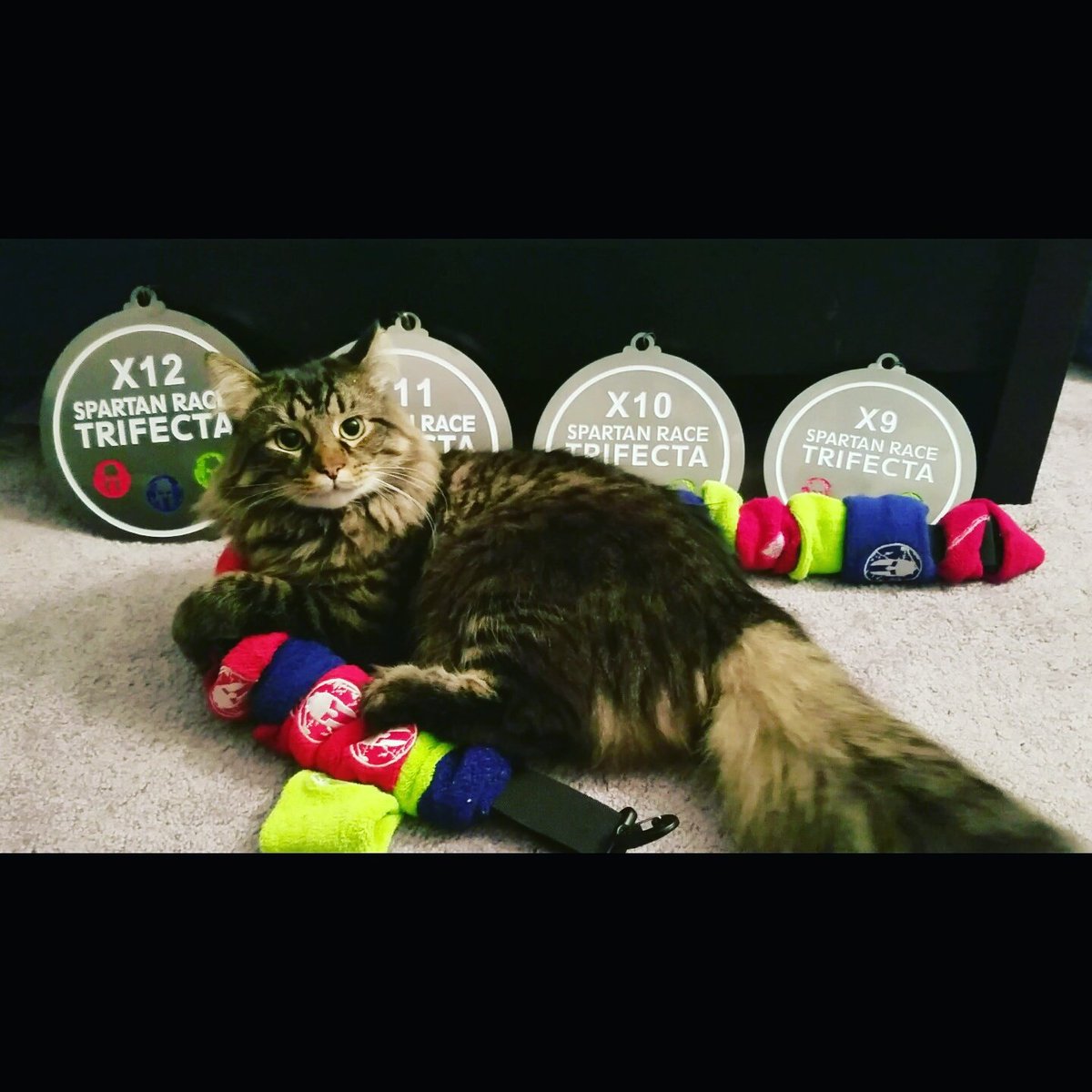 andrew_sholly's tweet photo. #medalmonday #medaladdict #trifectatribe #trifecta2016 #spartanrace https://t.co/KRBNYAqsS5