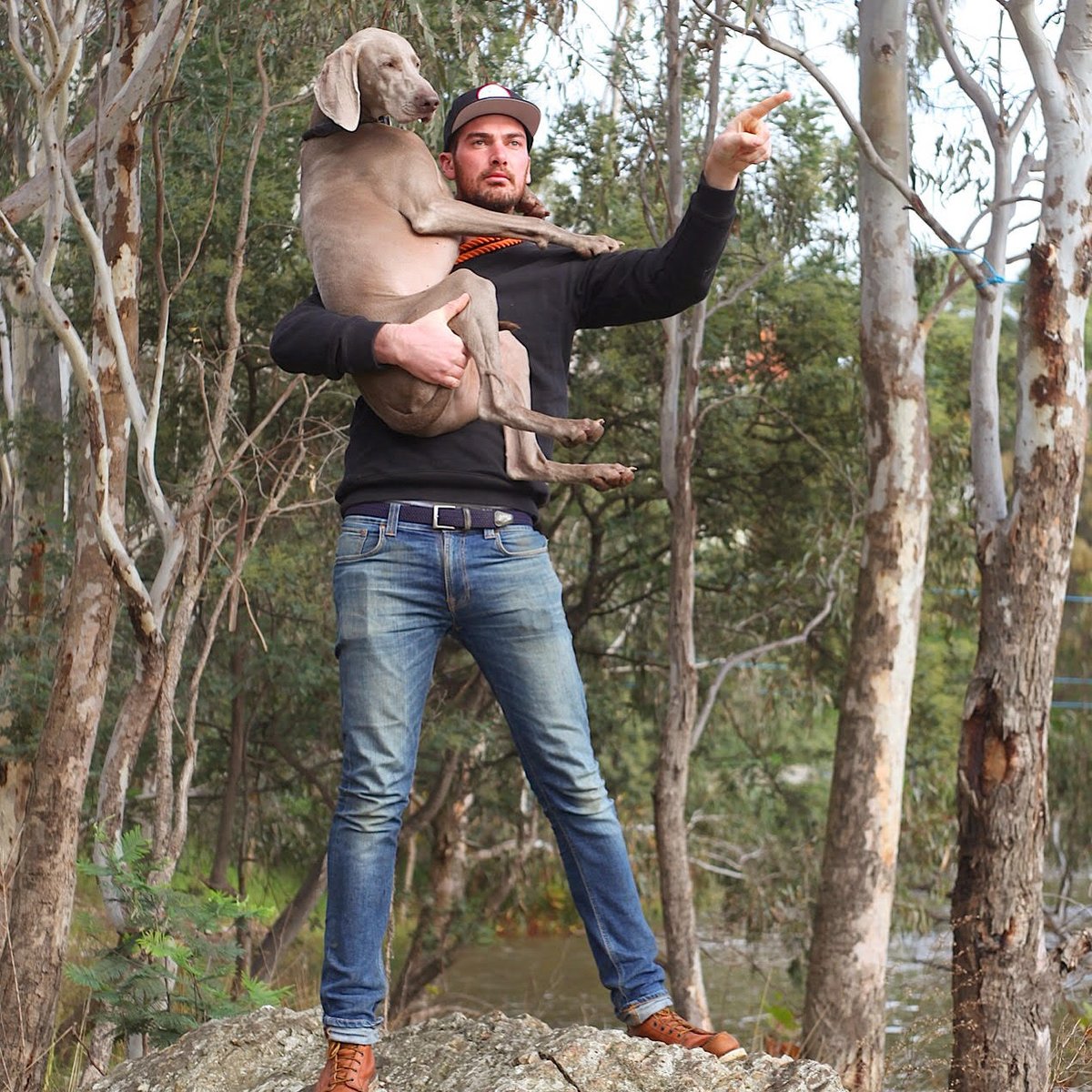 Meet Tom + Captain; the dog #walking #adventure #startup taking over Melbourne #dogslife: bit.ly/2fKYaSD