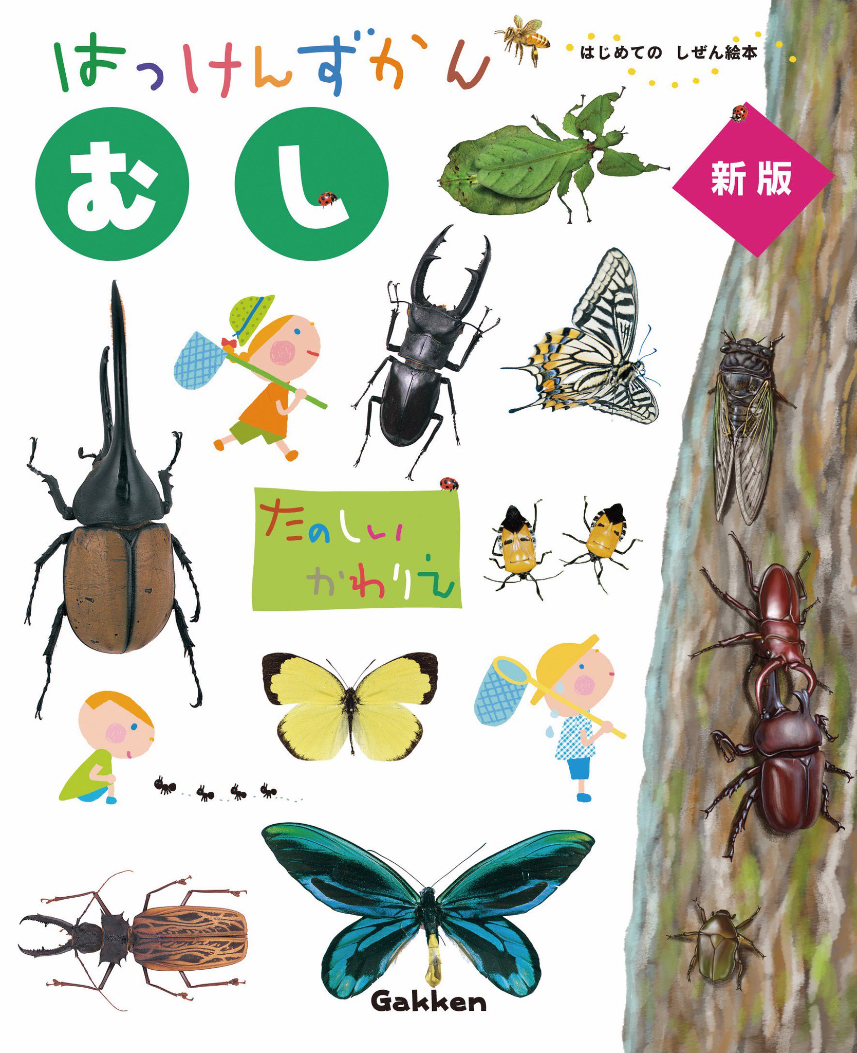 学研の絵本 はっけんずかん 鉄道 新発売 Auf Twitter 昆虫好きのお子さまに はっけんずかん むし 新版 T Co Ercuwe0i52 大人気の むし が新しくなりました ページにたくさんめくるしかけがついているので飽きずに何度 学研の絵本 はっけんずかん 鉄道 新発売 Auf Twitter 昆虫好きのお子さまに はっけんずかん むし 新版 T Co Ercuwe0i52 大人気の むし が新しくなりました ページにたくさんめくるしかけがついているので飽きずに何度