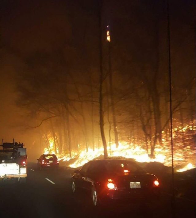 alyssacado's tweet photo. The fact that I may have to say "you should've seen it when I was younger" to my kids one day absolutely breaks. my. heart. #savethesmokies https://t.co/usyzF5KVYA