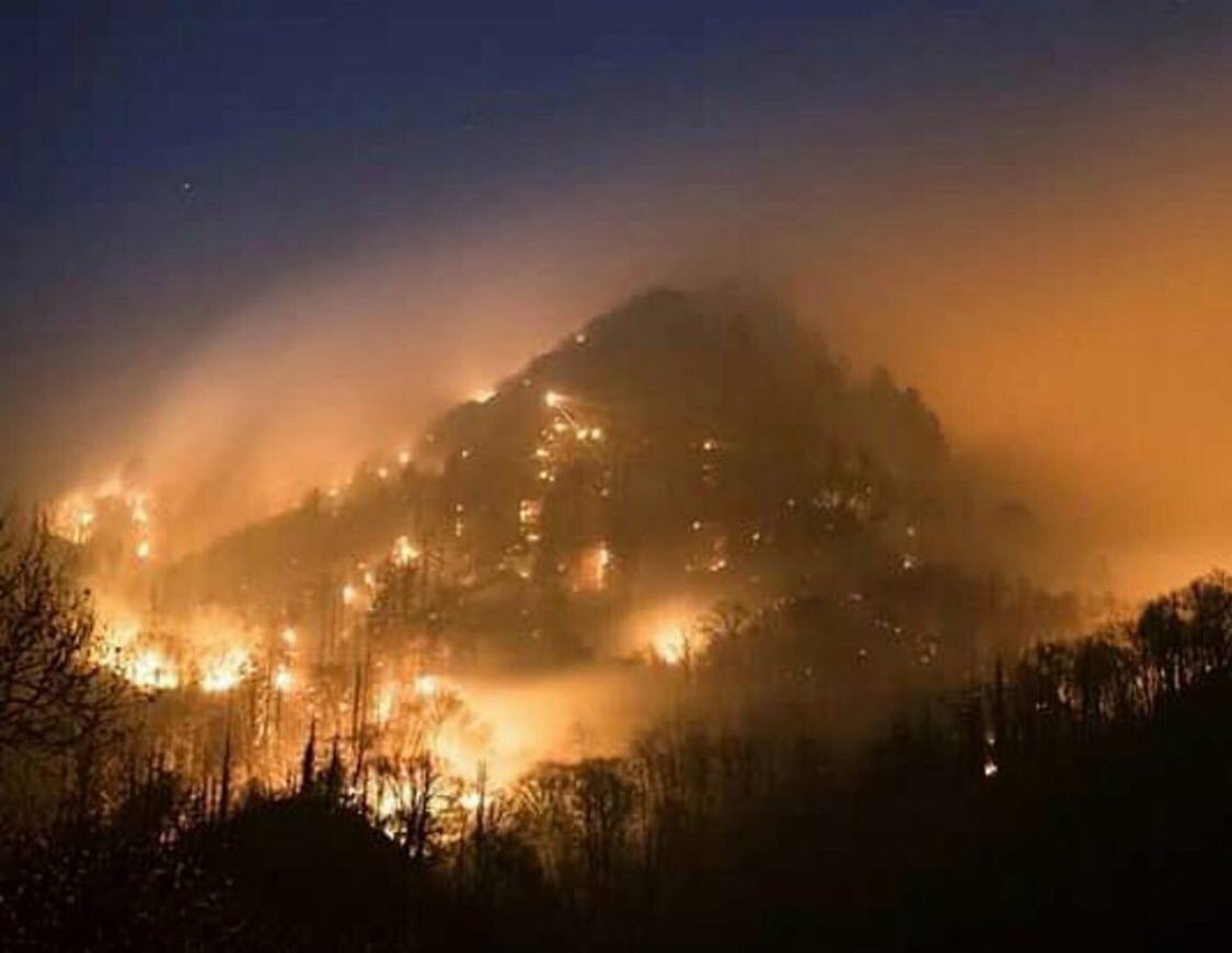 alyssacado's tweet photo. The fact that I may have to say "you should've seen it when I was younger" to my kids one day absolutely breaks. my. heart. #savethesmokies https://t.co/usyzF5KVYA