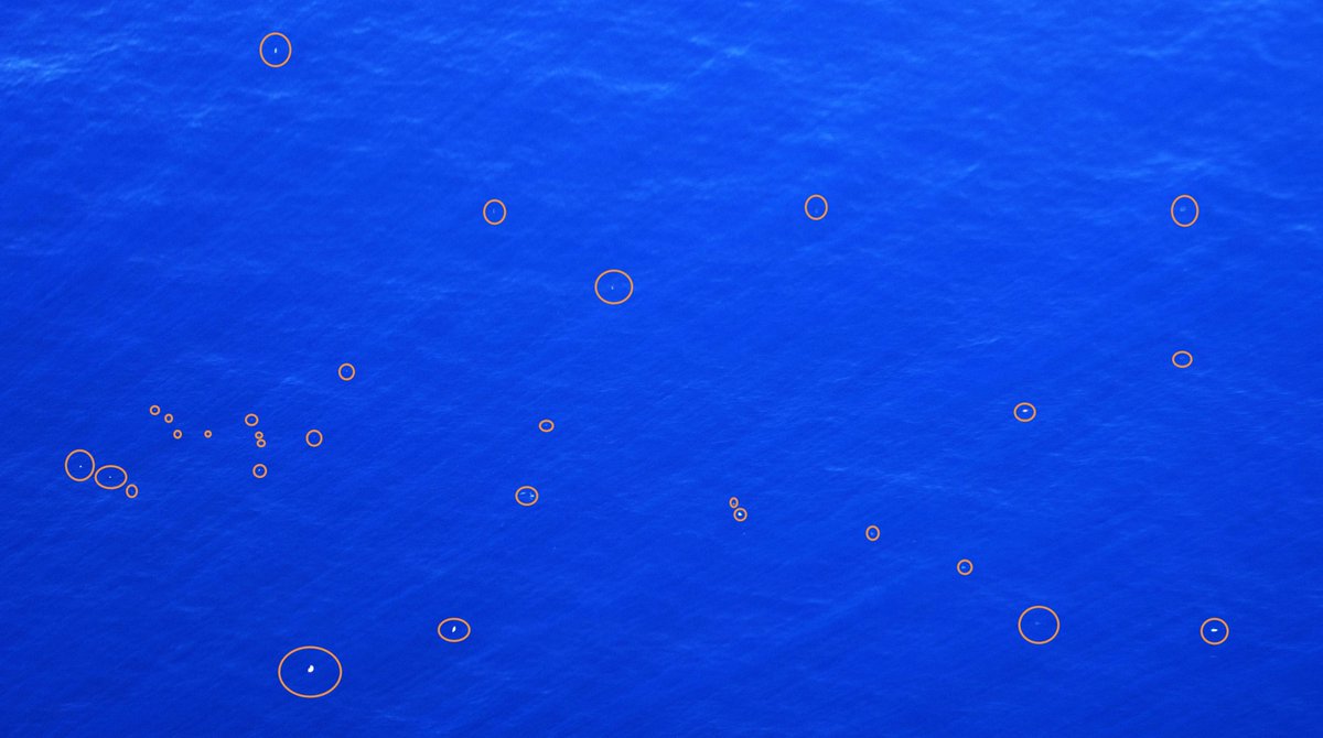 julia_reisser's tweet photo. #Ocean #plastic sizes in the so-called #PlasticSmog or #PlasticSoup is a manner of perspective. #TOCAerialExpedition pic; 400m height https://t.co/AhiLwwSJII
