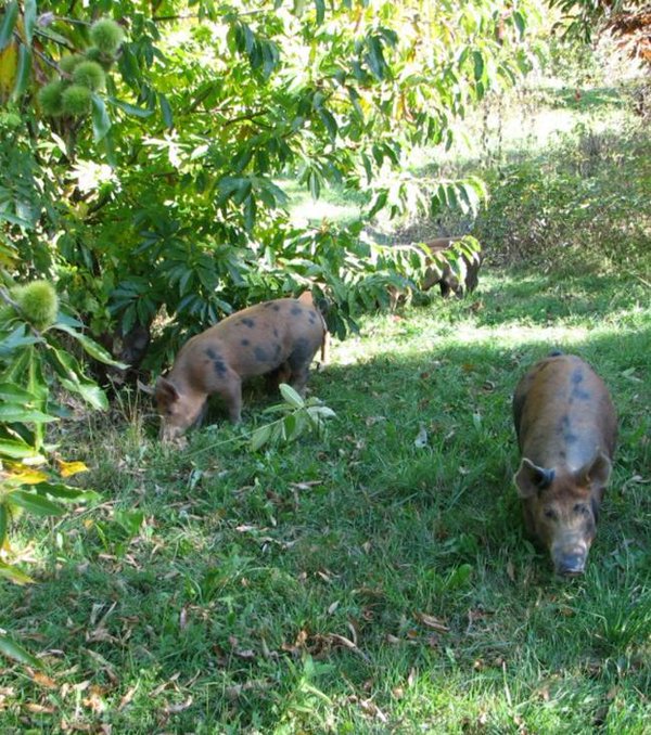 <a href="/MariskaSlot/">Mariska Slot</a>: leuk je op Twitter gevonden te hebben! Heb genoten van jullie avondklas bij <a href="/warmonderhofBD/">Warmonderhof</a> .......