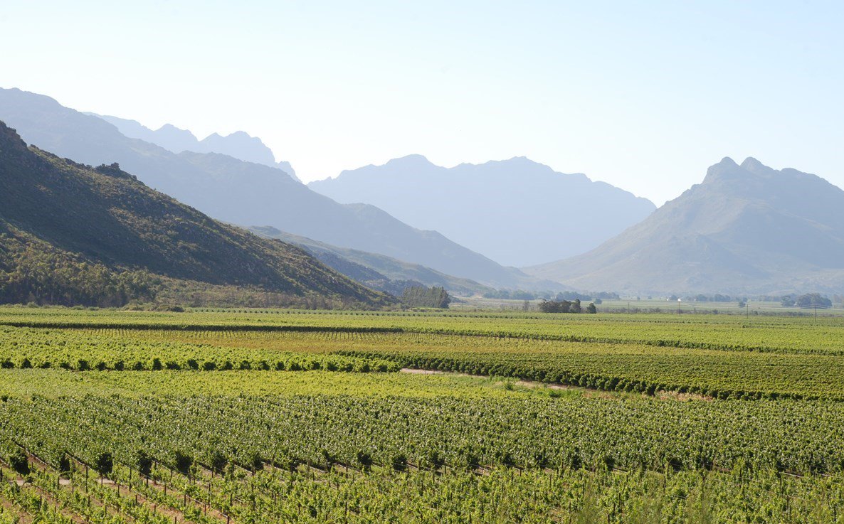 Everybody is taking note of the #Breedekloof Wine Valley &amp; there are good reasons why.
<a href="/Konfytbekkie/">Marthélize</a> elaborates!
#CapeWinelands #SouthAfrica