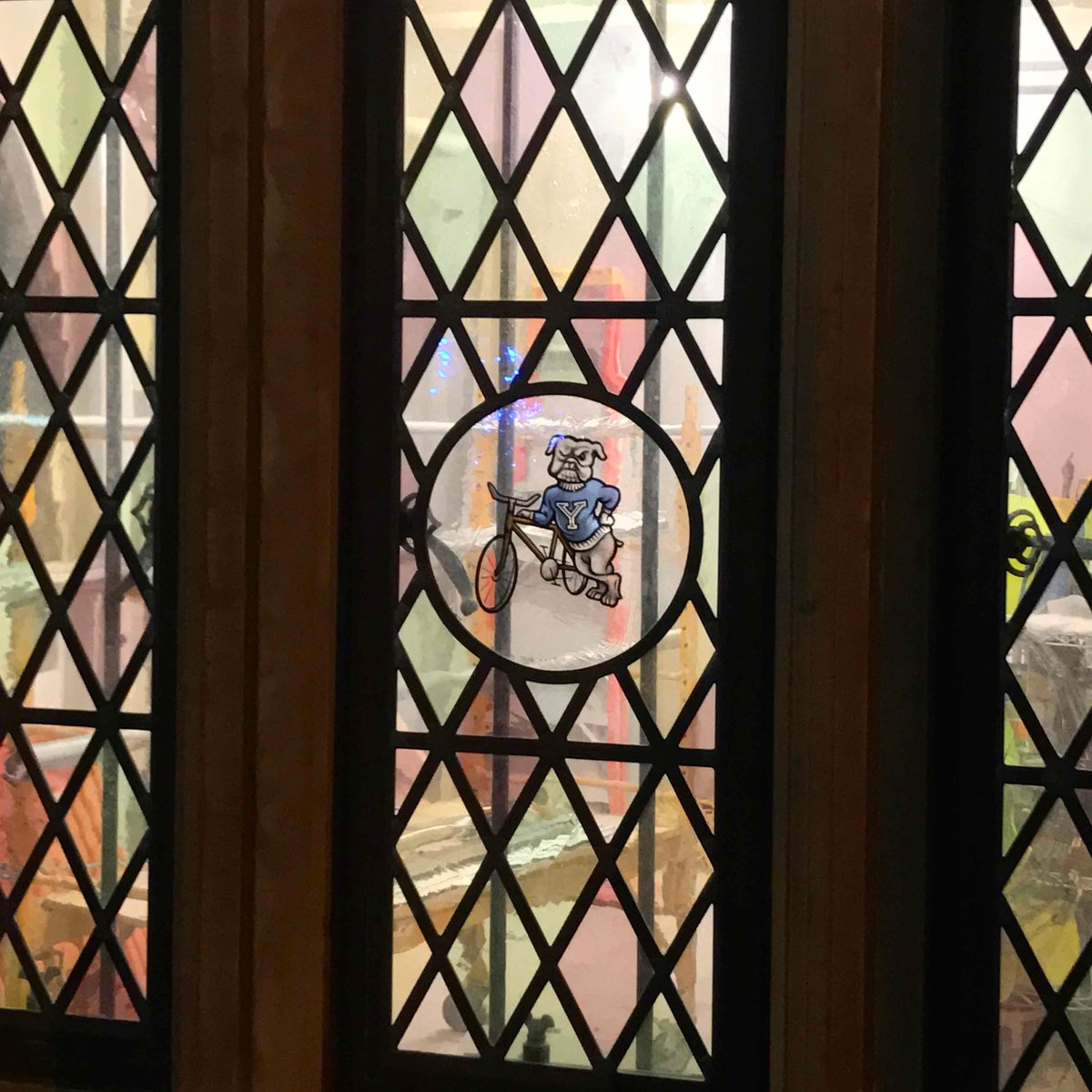 Yale Cycling Team (YaleCycling) Twitter