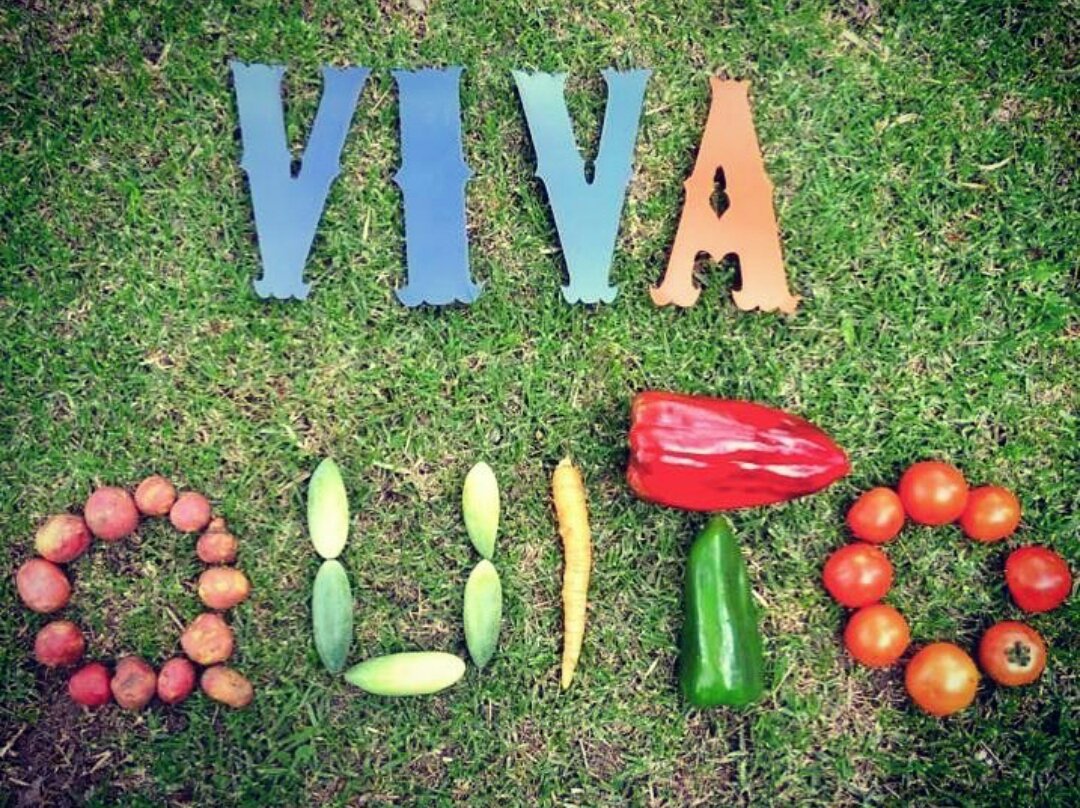 OrganicFoodUIO's tweet photo. @OrganicFoodUIO celebra a la carita de Dios por sus 482 años de fundación https://t.co/9R5SGAhknH