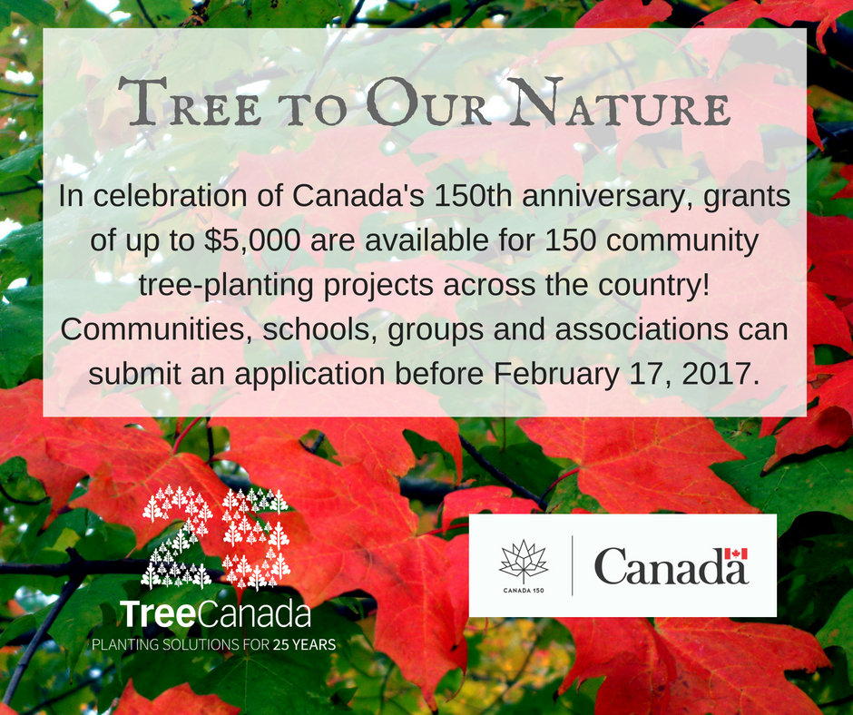 TreeCanada's tweet photo. 2 celebrate@canada150thwe're launching #TreeToOurNature. 150 grants of up to $5,000 for community greening projects! https://t.co/q1jNKgjkkd https://t.co/mS3dA7bZ4n