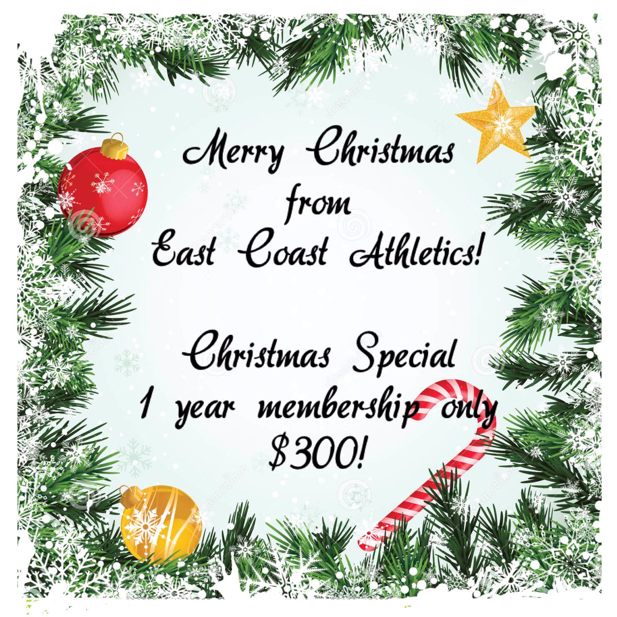 eca_capecod's tweet image. Save $150 for the month of #December with our #Christmas Special! 🎄