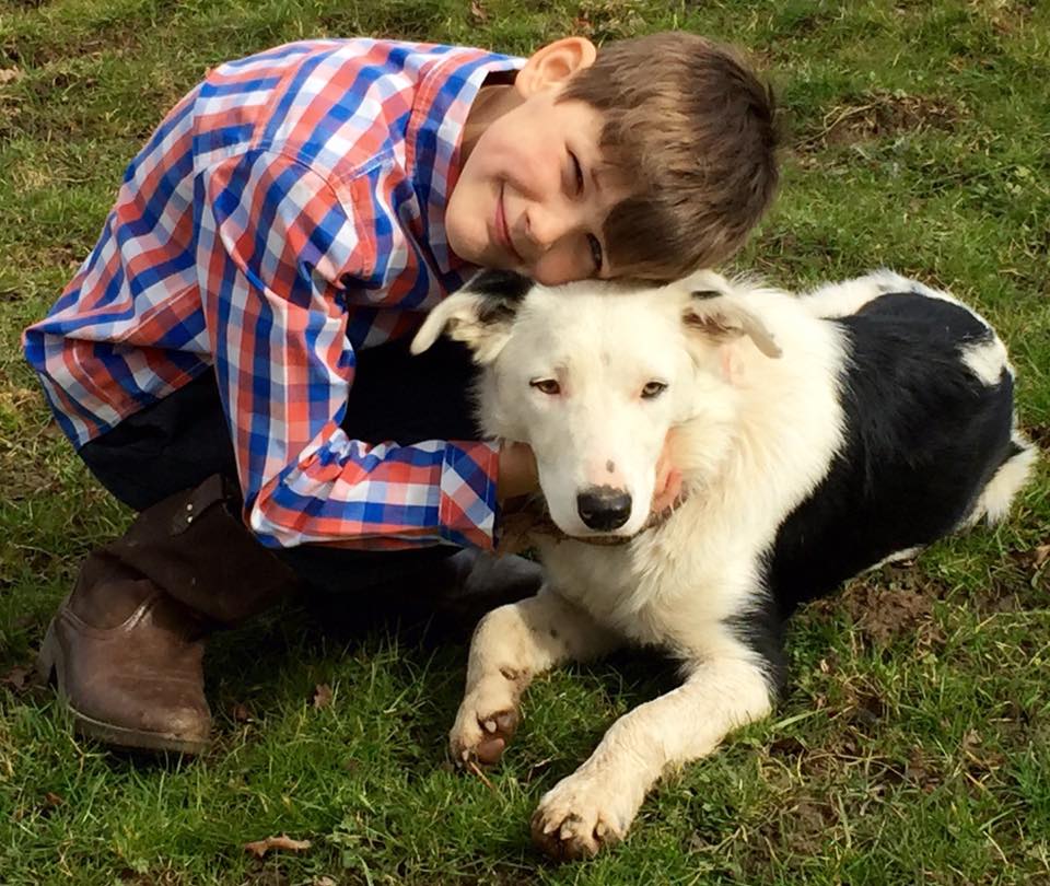LostboxWALES's tweet photo. This border collie was lost somewhere around the border of North Wales in April, please RT and bring him home!
https://t.co/9CACUYwI9R https://t.co/XDeYXIVLCY