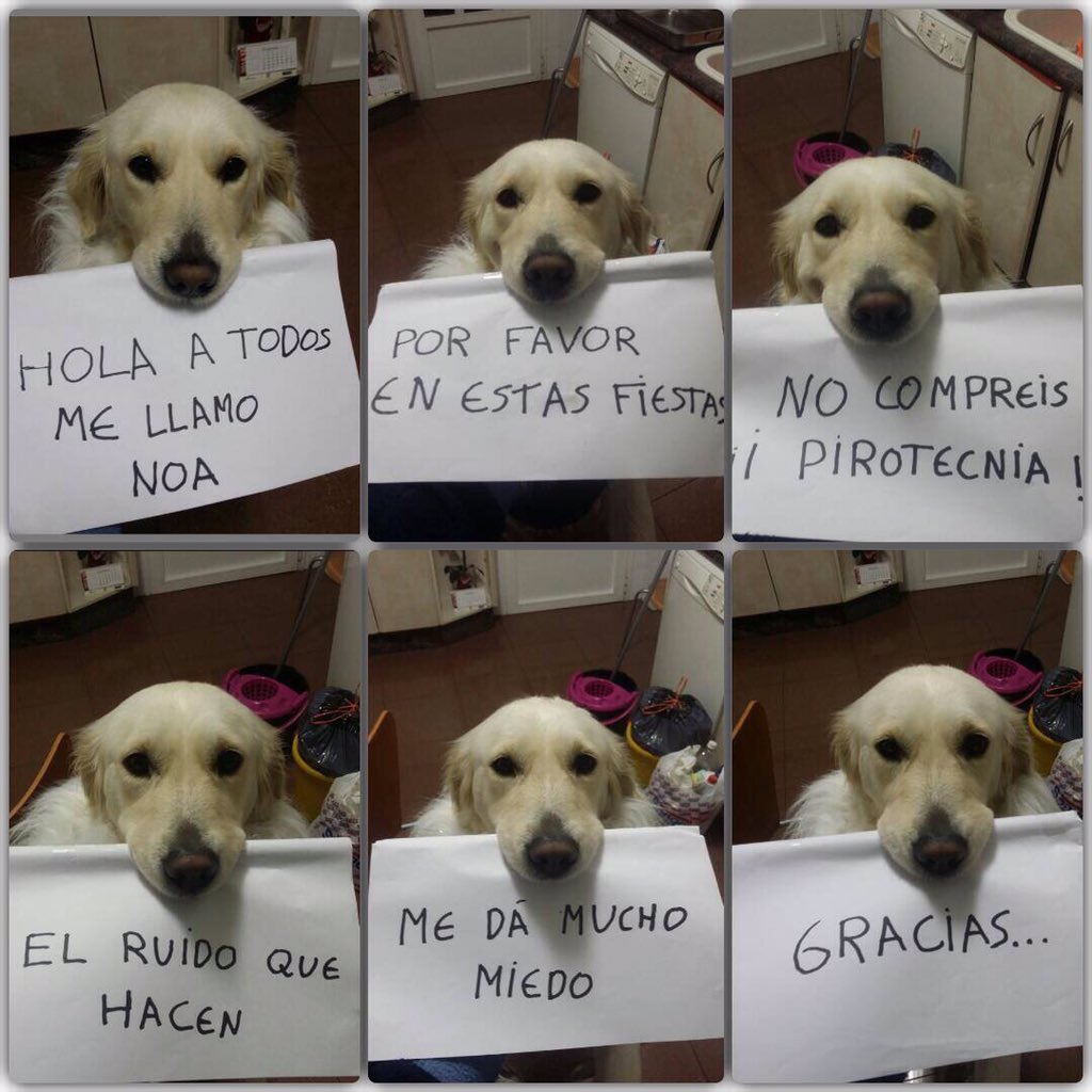 BASTAtauromakia's tweet photo. #MensajeDeNoa https://t.co/3KPPoiPwJq