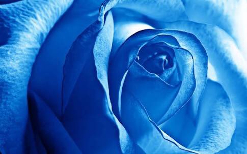 F1rstNoteOfLove's tweet photo. 7. My fav colour is blue. It's so soothing #10randomthingsaboutme https://t.co/e4AGWrNGA1