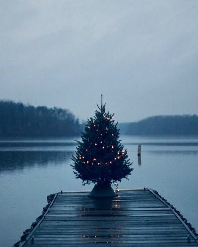 vinastudija's tweet photo. Svētku gaidīšana. #decembris #otrdiena #christmastime https://t.co/bRTQjk6GLh