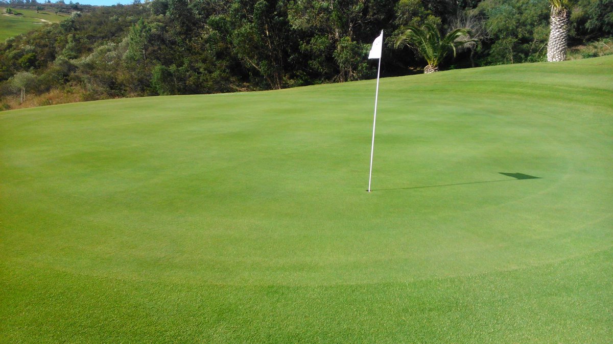 PauloGamboa2's tweet photo. #C.Complex 5.2.10 @HeadlandAmenity this morning at Golfe S.Antรณnio, Algarve Portugal https://t.co/Dhs9hVenWw