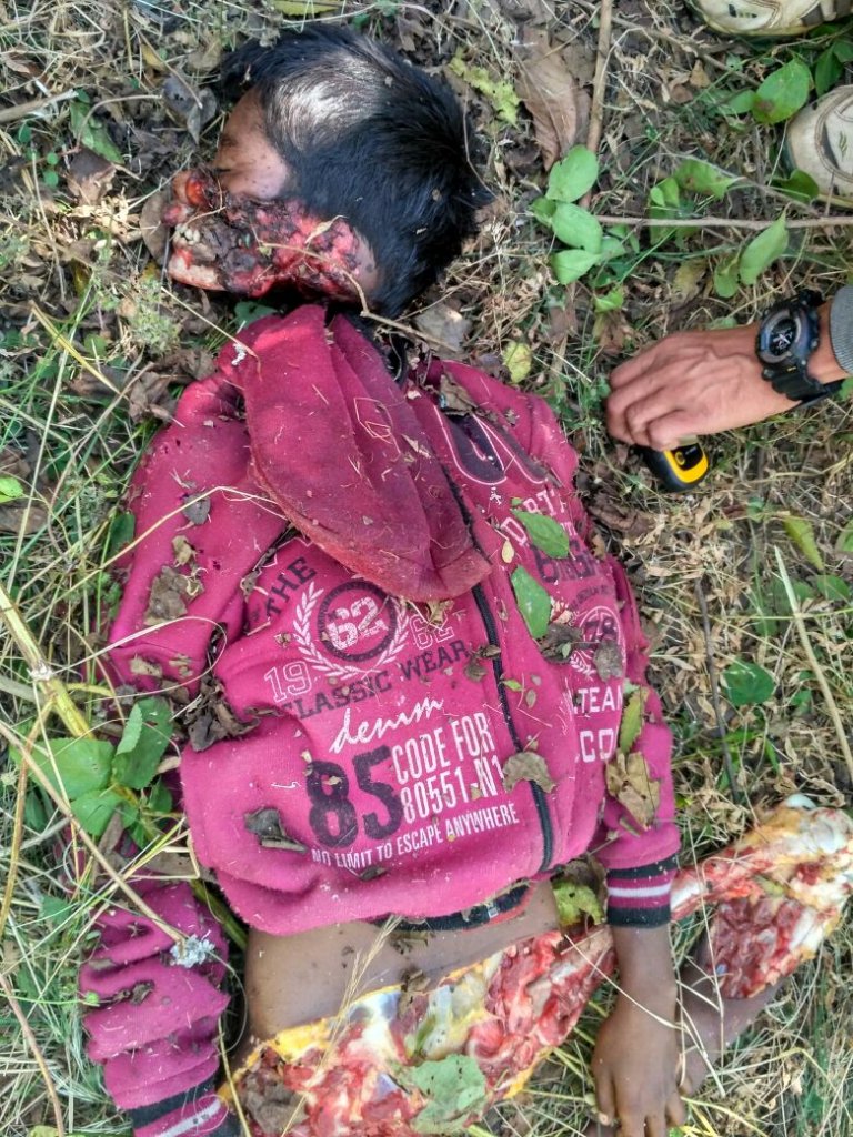 devada_moon's tweet image. The small boy is attached by chitta!!!!!!!