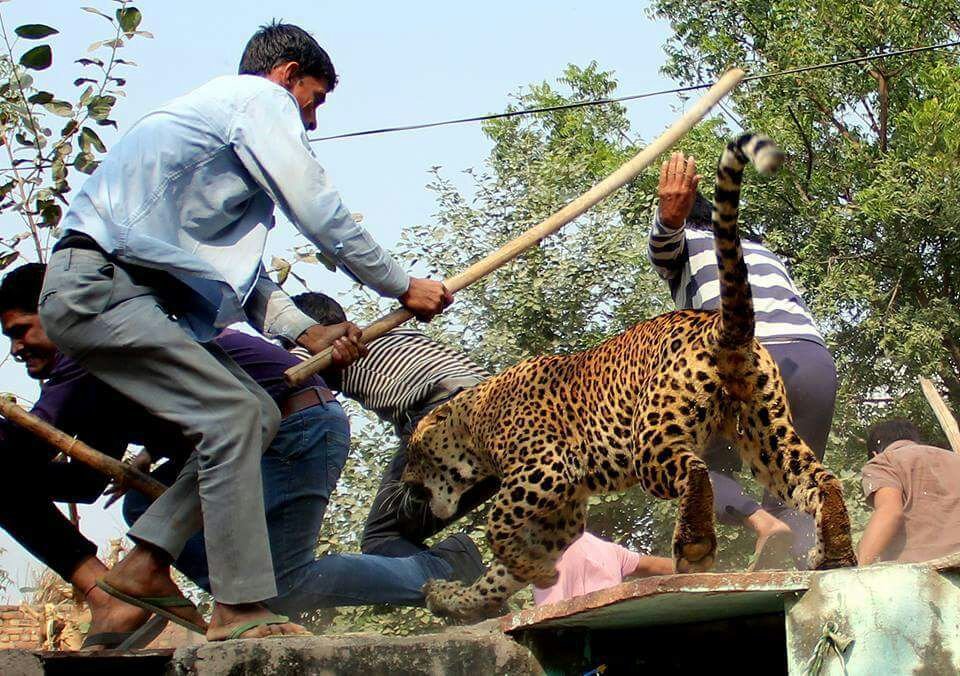 devada_moon's tweet image. The small boy is attached by chitta!!!!!!!