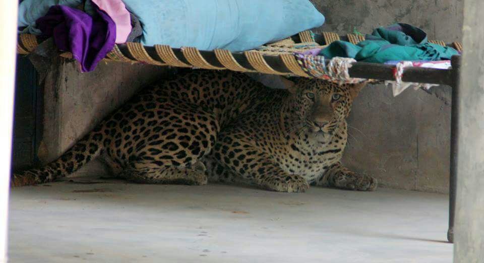 devada_moon's tweet image. The small boy is attached by chitta!!!!!!!