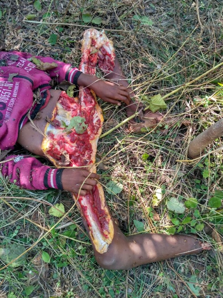 devada_moon's tweet image. The small boy is attached by chitta!!!!!!!