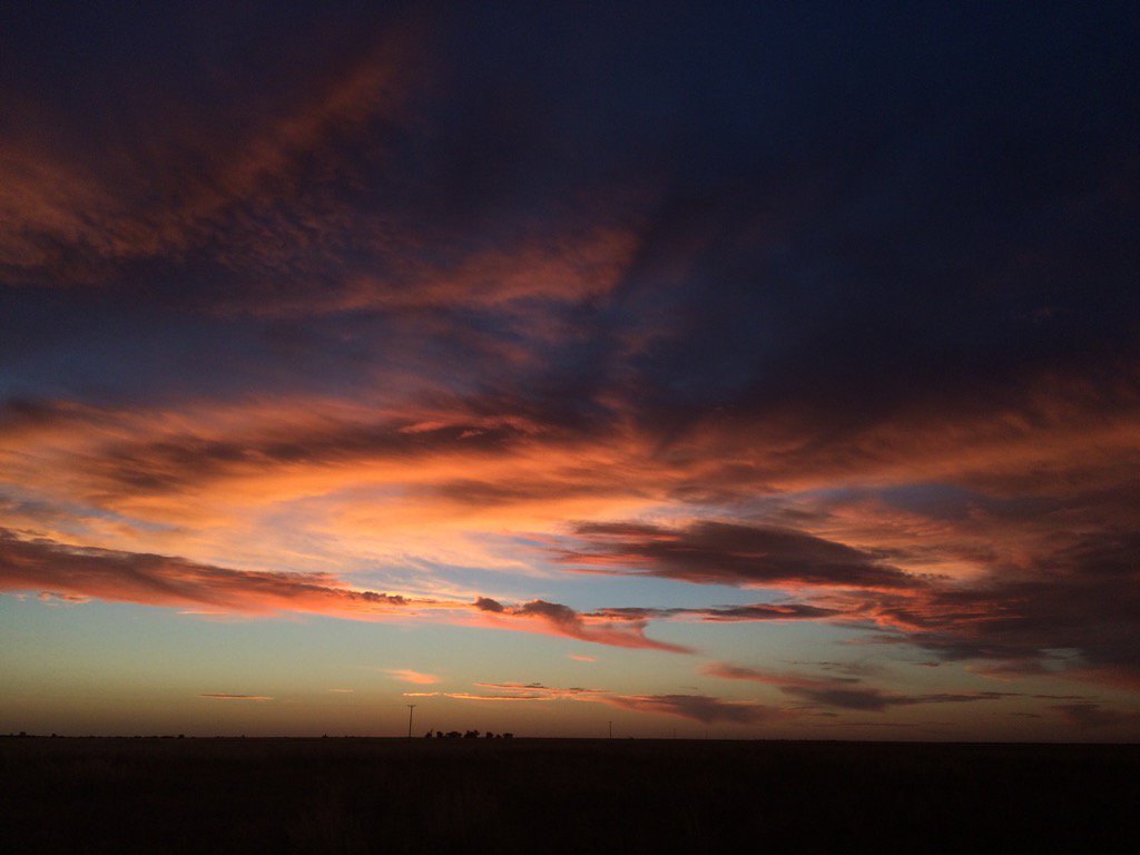 pedionomus's tweet photo. Time to soak up the surrounds. Just me, the birds and the bugs and this #RiverinePlains #sunset2016 #todaysoffice https://t.co/MNGZeo4ORP