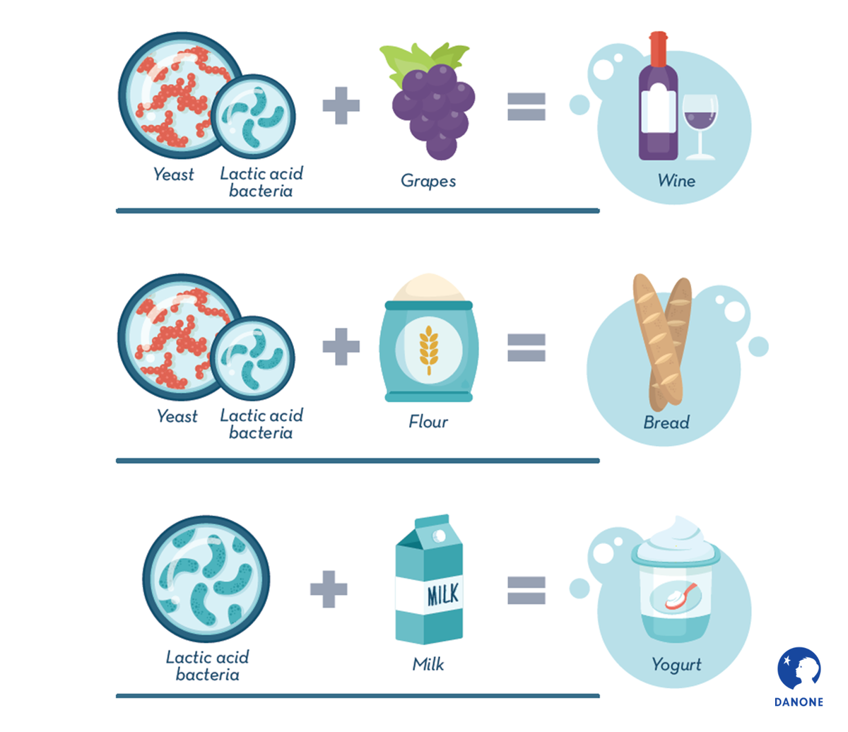 Danone's tweet photo. Bread, wine, yogurt: three food products transformed by ferments. #FermentScience https://t.co/MCoGXjl5PZ