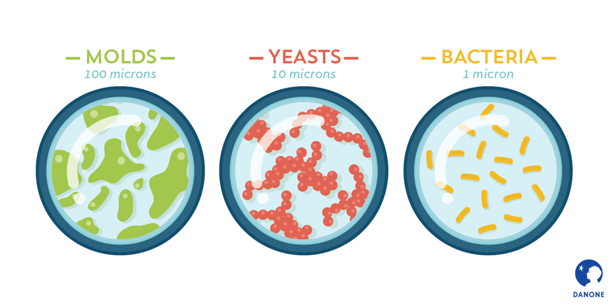 Danone's tweet photo. #DidYouKnow? There are different kinds of ferments #FermentScience https://t.co/LK3cWP4WUG