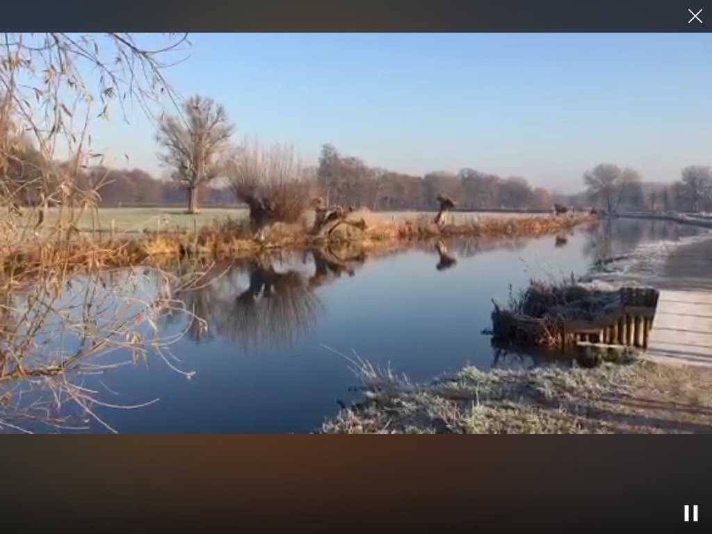 Marg chase tweet media