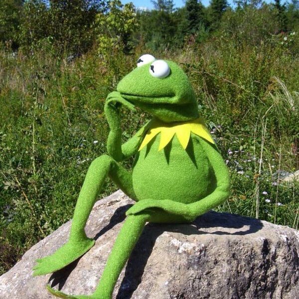 Real life how I've been these last few days &amp; completely becoming https://t.co/Wkd5DV4Cc2<a href="/tag/mytwitteranniversary"class="tags"><span>#mytwitteranniversary</span></a>