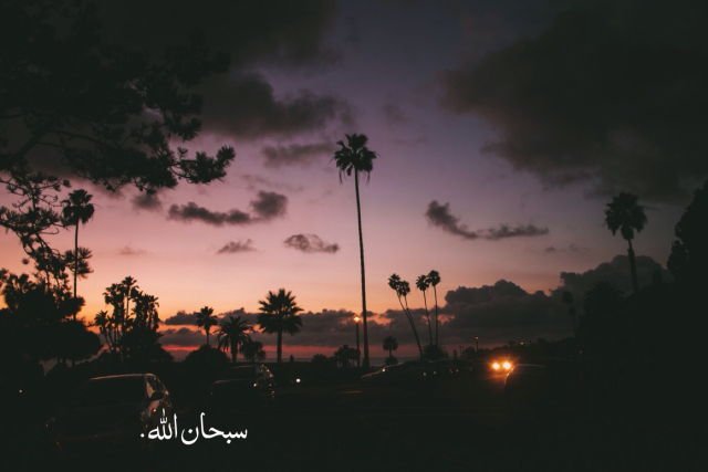 مُصعب tweet media