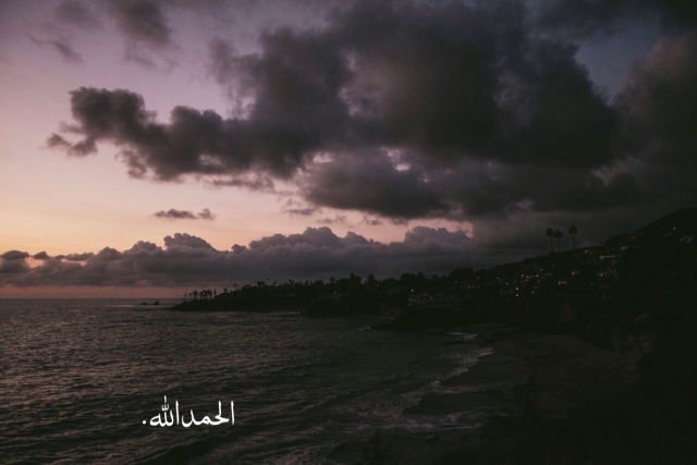 مُصعب tweet media