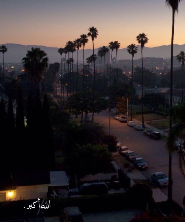 مُصعب tweet media