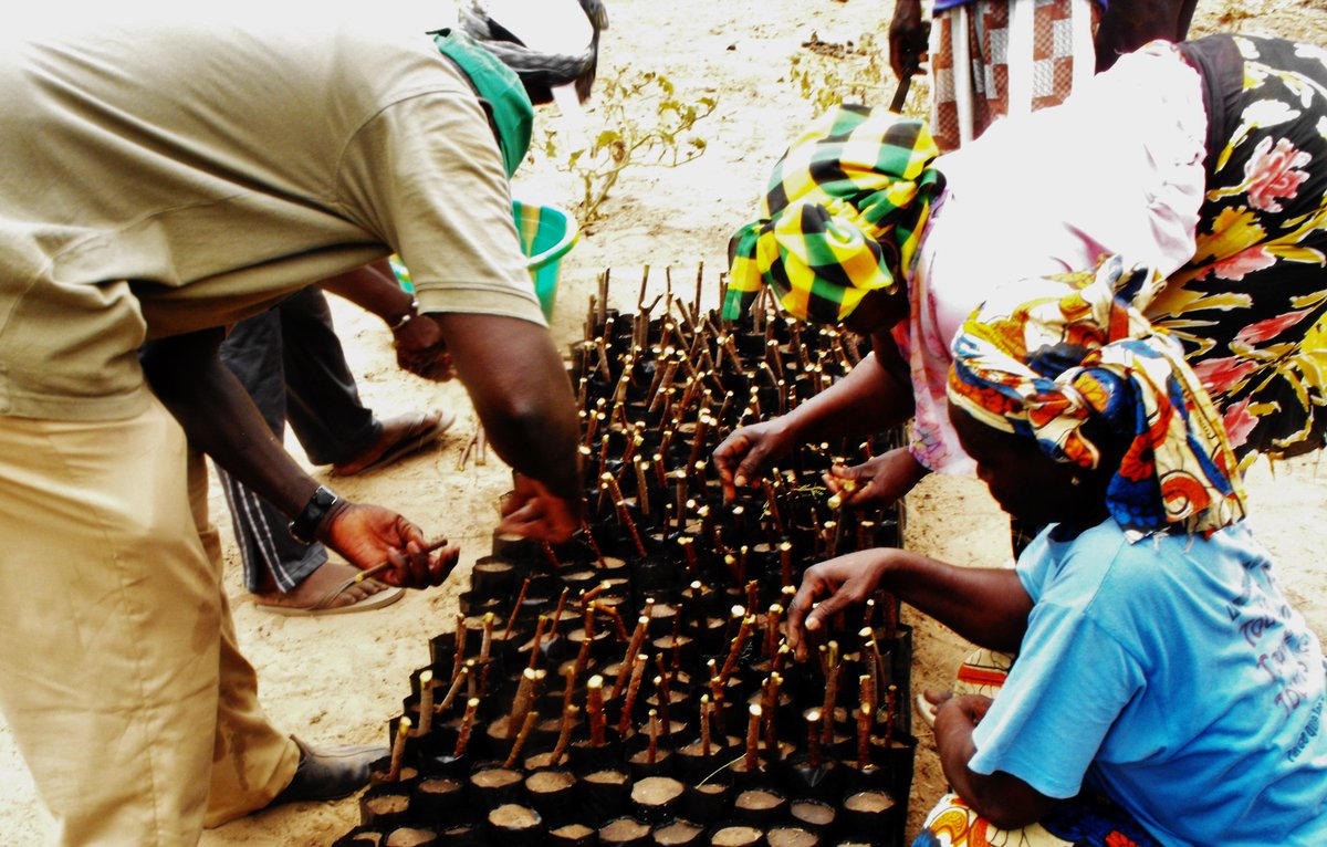 IUCN_CEM's tweet photo. Is nature a viable solution for disaster risk reduction in Africa? https://t.co/LT9wjbwM8C #AFRP2016 #switch2sendai @unisdr @CBDNews https://t.co/u29DfIUcBp