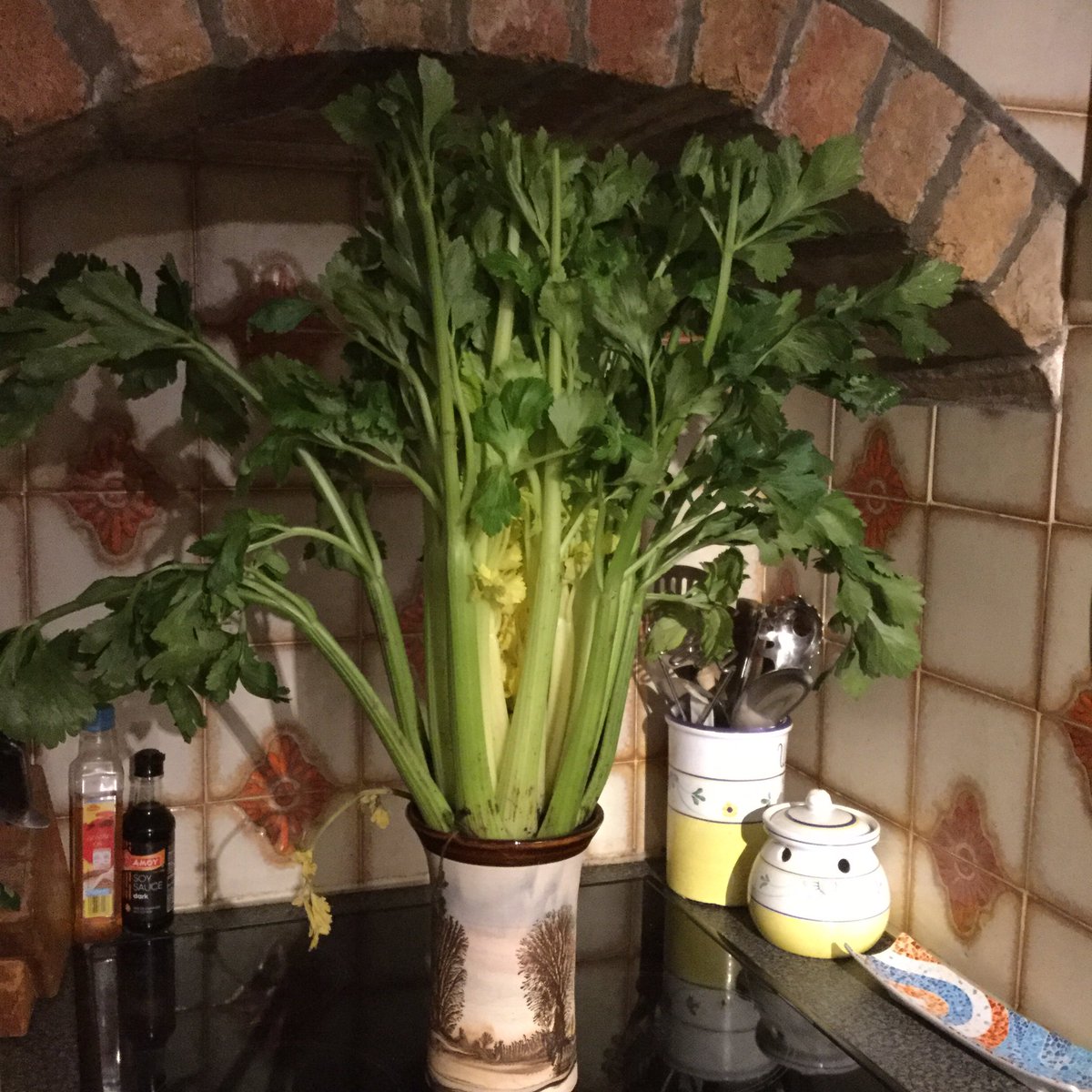 <a href="/fenlandcelery/">Fenland Celery</a> who needs flowers?  Crunchy winter salad fer din! ❤️❤️
