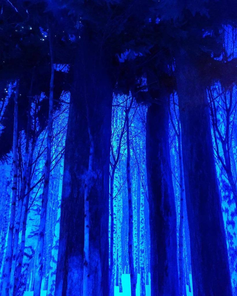 FeraAtClaridges's tweet photo. We can't get enough of this year's #winterinstallation @ClaridgesHotel #claridgeschristmas… https://t.co/h5tCjtAtjw https://t.co/E4oS76Grcv