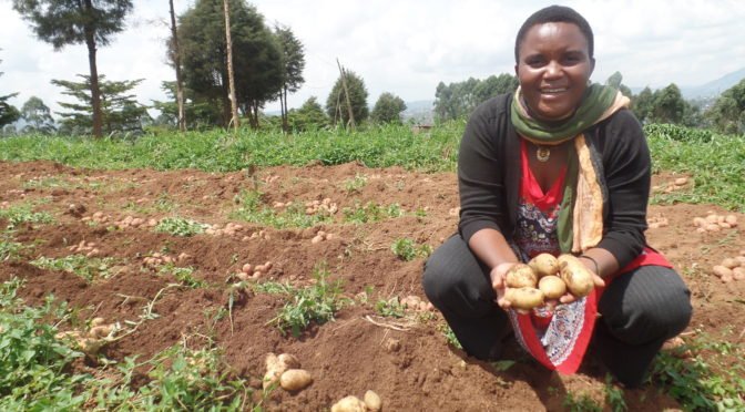 asblafricarise's tweet photo. Lydie, la reine de la pomme de terre à Butembo @habariRDC #KINFOR17
#femmeentrepreneur #agriculture #Afrique https://t.co/b06u58jgMq