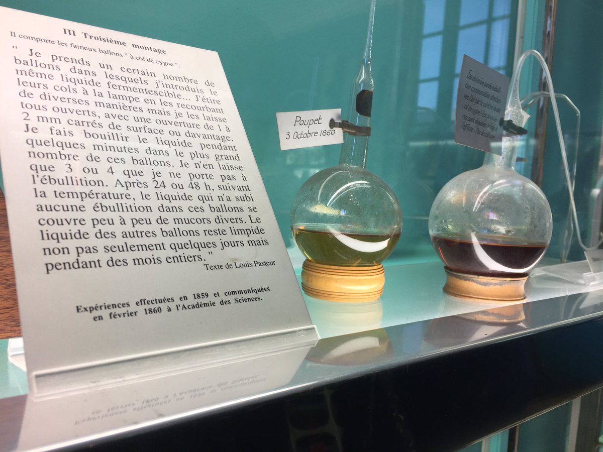 kaki2501's tweet photo. Ballon à col de cygne @institutpasteur #fermentscience https://t.co/Wde2Ja9tYS