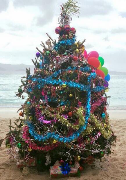 SailStarlight's tweet photo. This years #jostvandyke Christmas Tree https://t.co/aBwtIm8zTU