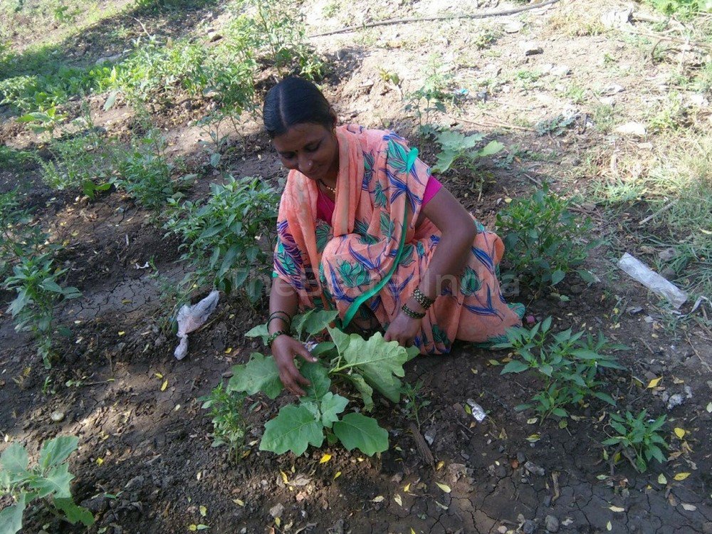 Momentum_UNFCCC's tweet photo. An empowered #woman farmer from India grew 15 crops in a year using an innovative #farming approach https://t.co/CYp9CeLbaJ  
@sspindia https://t.co/BvldJOjWTS