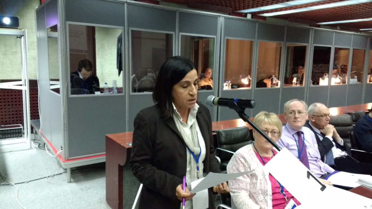 ETUCE_CSEE's tweet photo. #etuce2016 Manuela Mendonça FENPROF Portugal on the ETUCE ActReport https://t.co/rbEisdxjLB