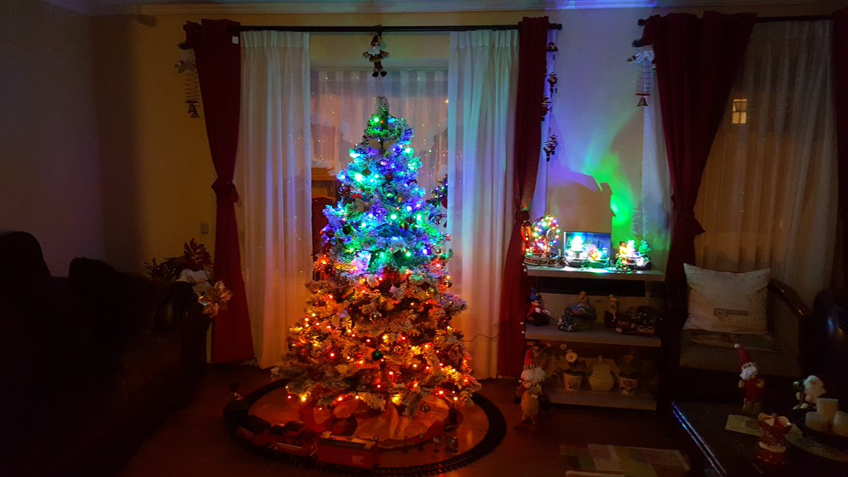 carolinainfor's tweet photo. #MPMEDESPIERTAmi arbol es muy lindo. https://t.co/YWoSQ7cNQH