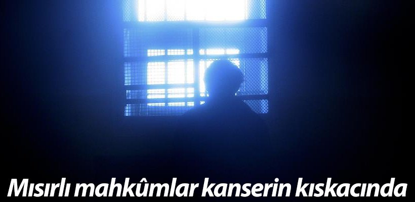 Mısırlı mahkumlar kanserin kıskacında
dogruhaber.com.tr/haber/229813-m…